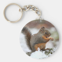 Cute Squirrel in the Snow Photo Key Chains