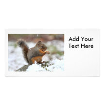 Cute Squirrel in the Snow Photo Personalized Photo Card
