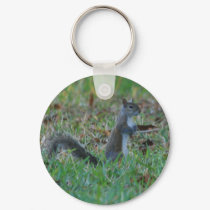 Cute Squirrel keychains