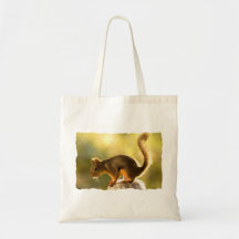 Cute Squirrel on a Cookie Jar Canvas Bag