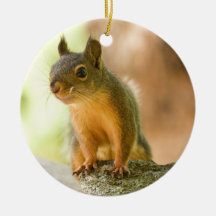 Cute Squirrel Smiling Christmas Tree Ornament