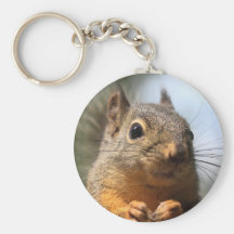 Cute Squirrel Smiling Closeup Photo Key Chains