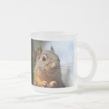 Cute Squirrel Smiling Closeup Photo Mug