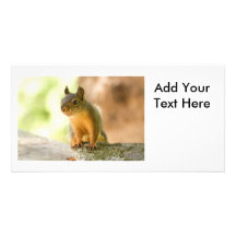 Cute Squirrel Smiling Customized Photo Card