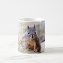 Cute Squirrel Staring Coffee Mugs