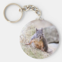 Cute Squirrel Staring Keychain