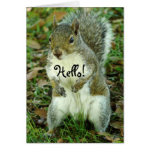 Cute Squirrel, Thinking of You Greeting Cards