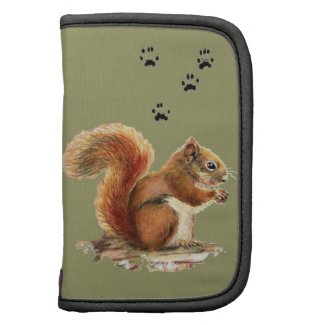 Cute Squirrel & Tracks , Watercolor Animal Nature rickshawfolio