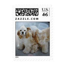 Cute stamp of two puppies
