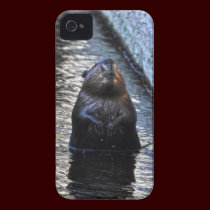 Cute Standing Wild Beaver 2 Wildlife Photo casemate cases