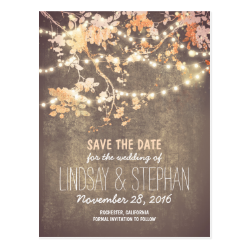 cute string lights rustic save the date postcards