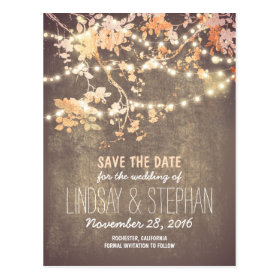 cute string lights rustic save the date postcards