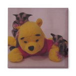 cute sugar glider joeys magnets
