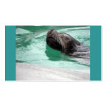 Cute Swimming Sea Lion Business Card Template