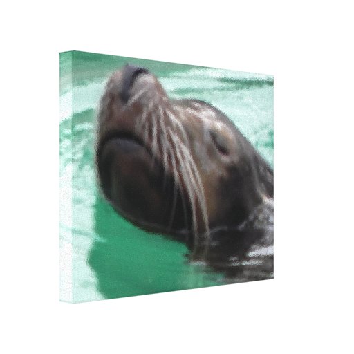 Cute Swimming Sea Lion Digital Art Canvas Prints