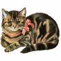 Cute Tabby Calico Cat / Kitten Photo Sculpture photo sculptures