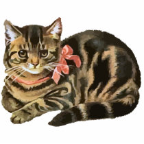 Cute Tabby Calico Cat / Kitten Photo Sculpture photo sculptures by briwanderz Cute Tabby Calico Cat / Kitten Photo Sculpture photo sculptures