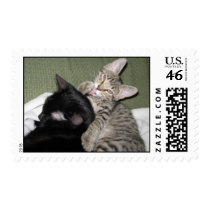 Cute Tabby Cat Giving Bath to Black Cat postage