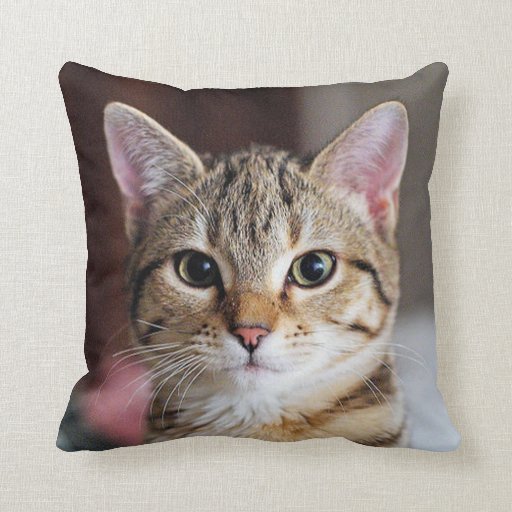 cat face throw pillow