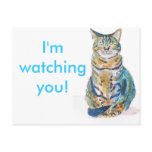Cute Tabby Cat Post Card