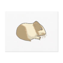 cute tan and white hamster postcards