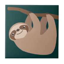 Cute Three-Toed Sloth