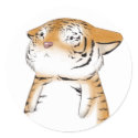 Cute Tiger Sticker by yumkeks Cute Tiger Sticker