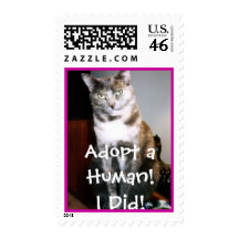 Cute Tortie Pet Cat Postage
