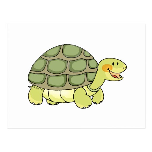 Cute Tortoise Postcards 