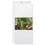Cute tree frog says hello! Amphibian style! Rack Cards