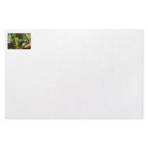 Cute tree frog says hello! Amphibian style! Custom Stationery