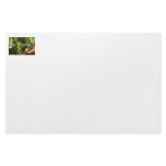 Cute tree frog says hello! Amphibian style! Custom Stationery