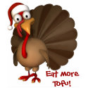 Cute Turkey Vegan Shirt - Teens & Womens