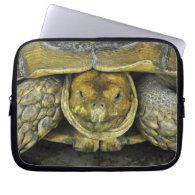 Cute Turtle Laptop Sleeve
