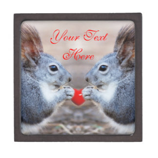 squirrel valentine stuffed animal