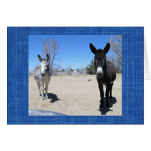 Cute Vet School Graduate Western Ranch Farm DVM Cards