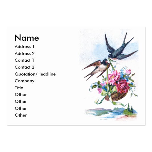 Cute Vintage Birds & Flowers Floral Business Card Templates (front side)
