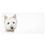 Cute Westie Dog Art Photo Card