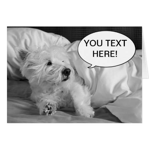 Cute Westie dog greeting card | Zazzle