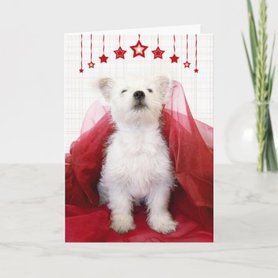 Cute Westie Pup Christmas Card by waggytails