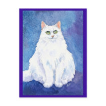 Cute white cat or kitten postcard