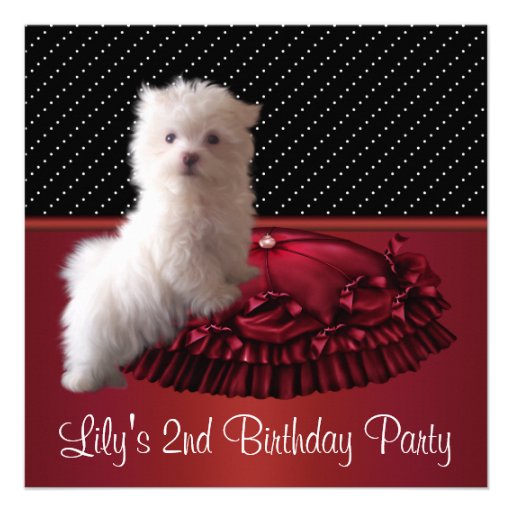 Cute White Puppy Birthday Party Invitations