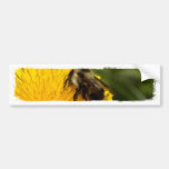 Cute Worker Bee Bumper Stickers