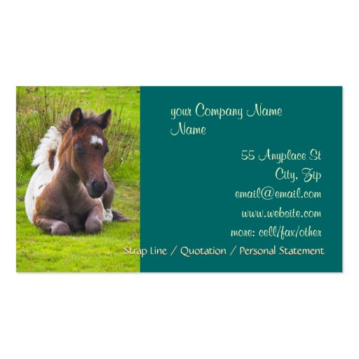 Cute Yearling Foal business cards (front side)