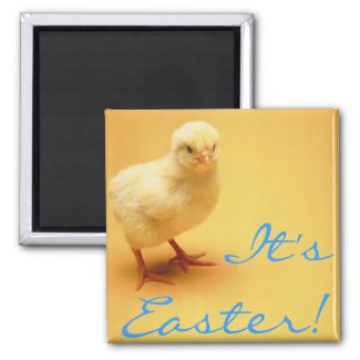 Cute yellow baby Chick Happy Easter! magnet