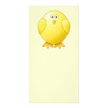 Cute Yellow Chick. Little Bird. Photo Greeting Card