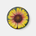 Cute Yellow Daisy Floral Magnet magnets