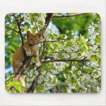 Cute yellow kitten in tree mouse pad