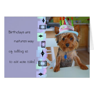 90th Birthday Party Invitations on Birthday Cake Card Templates  Postage  Invitations  Photocards   More