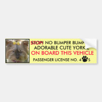 CUTE YORKIE BUMPER STICKER  (FEATURING WILLOW) bumper stickers